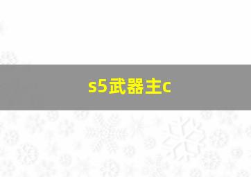 s5武器主c