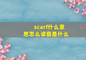 scarf什么意思怎么读音是什么