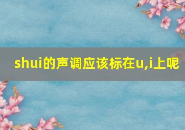 shui的声调应该标在u,i上呢