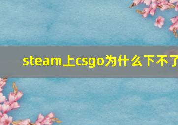 steam上csgo为什么下不了