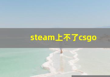 steam上不了csgo