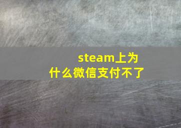 steam上为什么微信支付不了