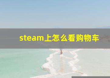 steam上怎么看购物车