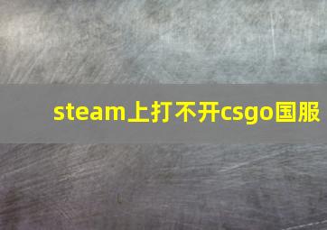 steam上打不开csgo国服