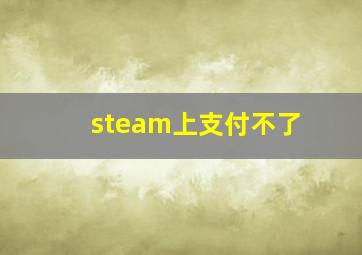 steam上支付不了