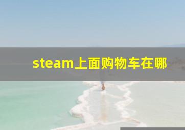 steam上面购物车在哪