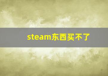 steam东西买不了