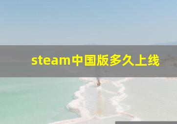 steam中国版多久上线