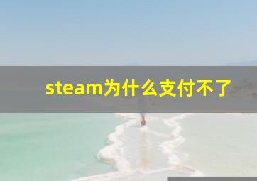 steam为什么支付不了