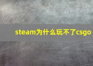 steam为什么玩不了csgo