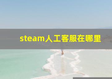 steam人工客服在哪里