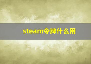 steam令牌什么用