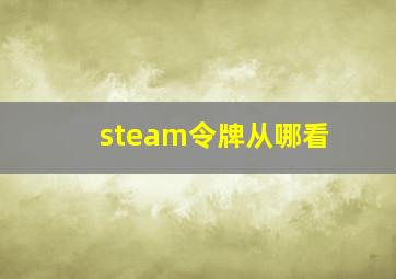 steam令牌从哪看