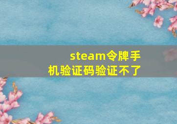 steam令牌手机验证码验证不了