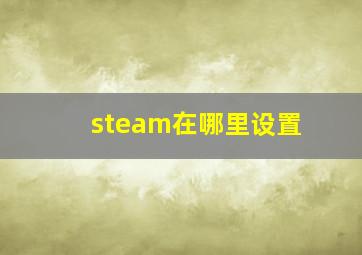 steam在哪里设置