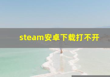 steam安卓下载打不开