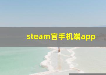 steam官手机端app