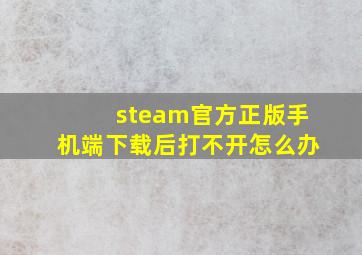 steam官方正版手机端下载后打不开怎么办