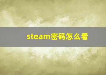 steam密码怎么看