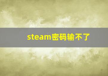 steam密码输不了