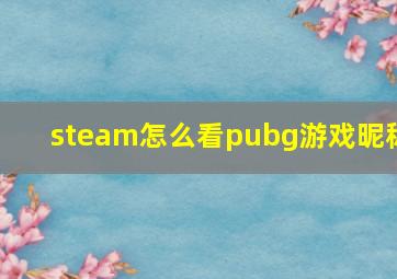 steam怎么看pubg游戏昵称