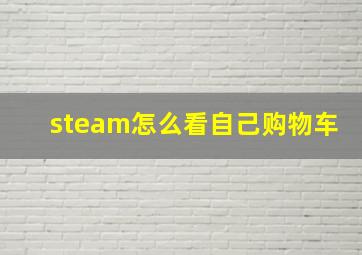 steam怎么看自己购物车