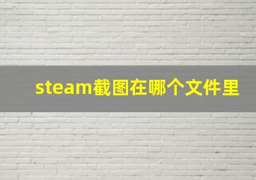 steam截图在哪个文件里