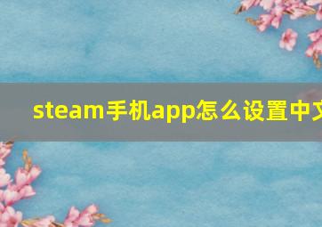 steam手机app怎么设置中文