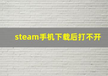 steam手机下载后打不开