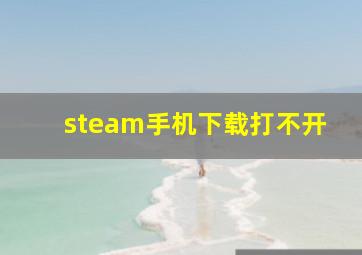 steam手机下载打不开