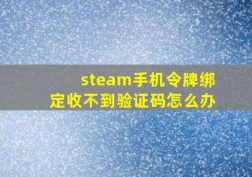 steam手机令牌绑定收不到验证码怎么办