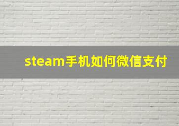 steam手机如何微信支付