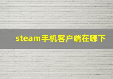 steam手机客户端在哪下