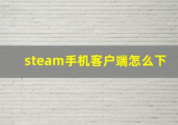 steam手机客户端怎么下