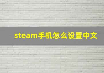 steam手机怎么设置中文