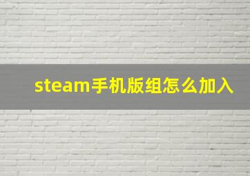 steam手机版组怎么加入