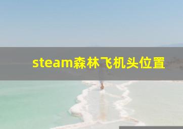 steam森林飞机头位置