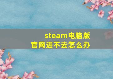 steam电脑版官网进不去怎么办