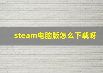 steam电脑版怎么下载呀