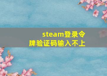 steam登录令牌验证码输入不上