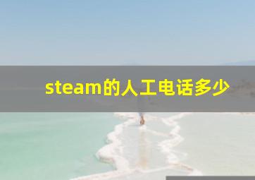 steam的人工电话多少