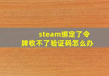 steam绑定了令牌收不了验证码怎么办