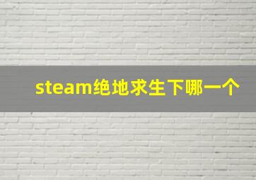 steam绝地求生下哪一个