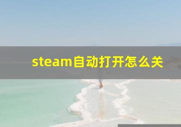 steam自动打开怎么关