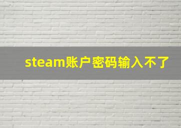 steam账户密码输入不了