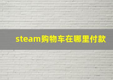 steam购物车在哪里付款