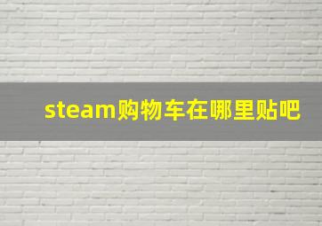 steam购物车在哪里贴吧