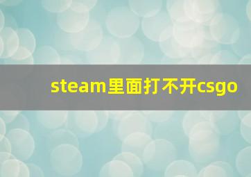 steam里面打不开csgo