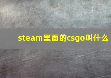 steam里面的csgo叫什么