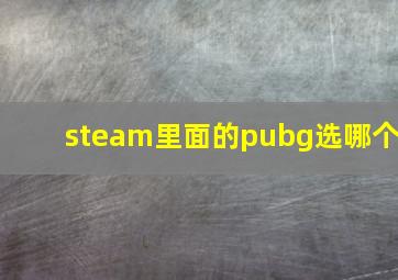 steam里面的pubg选哪个